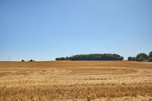 Photo 29- click for photo gallery